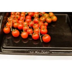 Napoleon Gusseisen-Plancha, Grillplatte -Flammen Werk Geschäft Napoleon Gusseisen Plancha Grillplatte@@9ggzzn0s 7