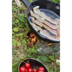 Petromax Feuerpfanne Fp25, Mit Pfannenstiel -Flammen Werk Geschäft Petromax Feuerpfanne fp25 mit Pfannenstiel@@9ggfpp01 4