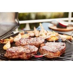 Weber IGrill Pro Messfühler Für Grillgut, Thermometer -Flammen Werk Geschäft Weber iGrill Pro Messf hler f r Grillgut Thermometer@@1303168 13