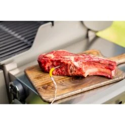 Weber IGrill Pro Messfühler Für Grillgut, Thermometer -Flammen Werk Geschäft Weber iGrill Pro Messf hler f r Grillgut Thermometer@@1303168 8